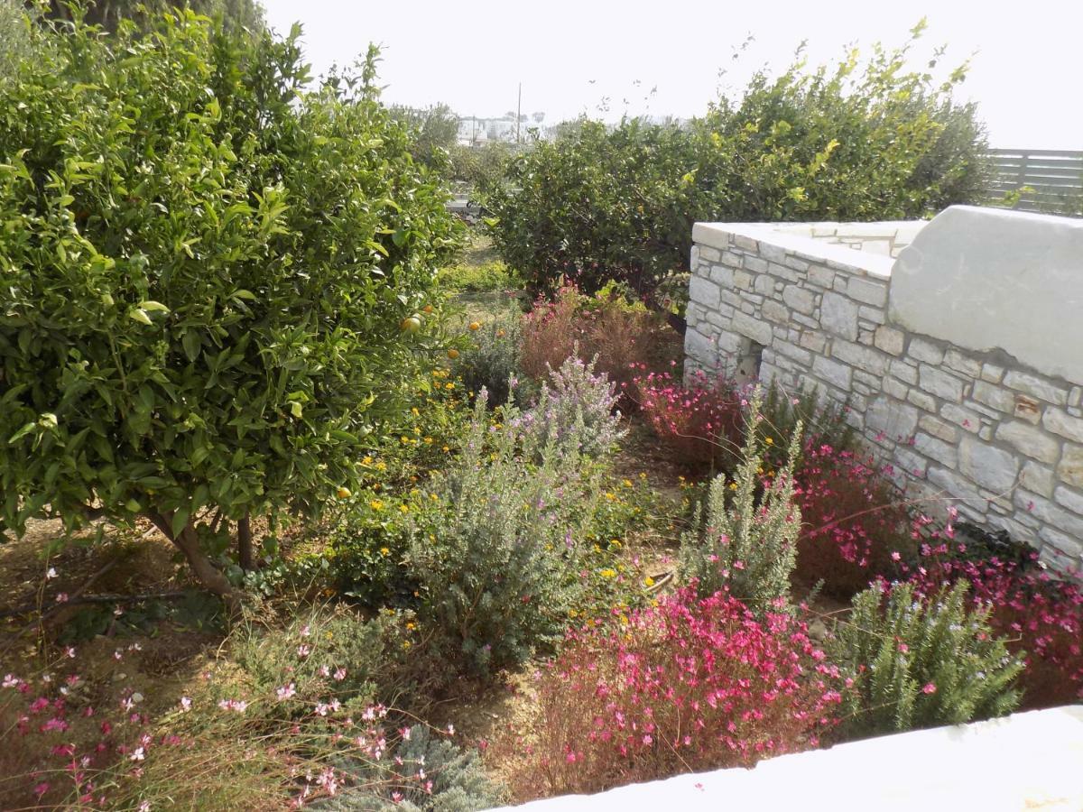 Villa Evilia Márpissa Exteriér fotografie
